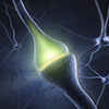Artists rendering of a synapse