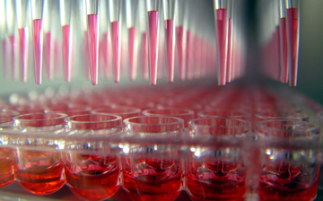 A photo of many pipettes with red liquid over vials also filled with red liquid