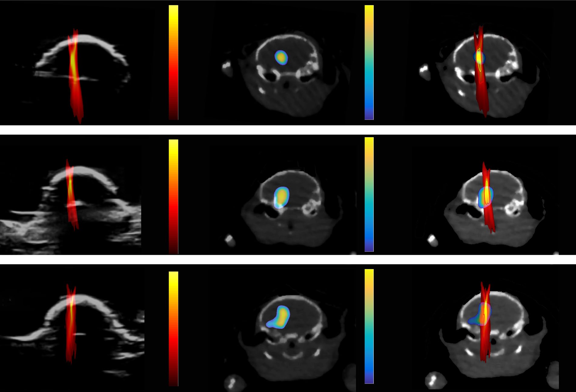 PCI images compared to PET/CT images showing location and dose of drug in a mouse brain