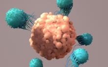 Artistic representation of T cells attacking a cancer cell