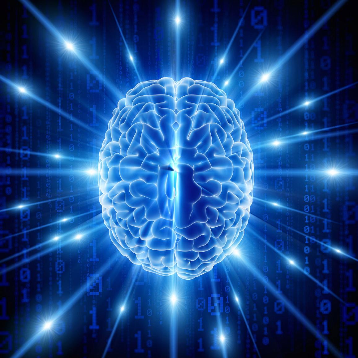 brain illustration
