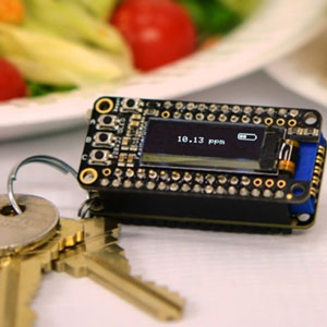 keychain lab for food allergies keychain lab for food allergies