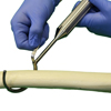 Image of the Apollo device