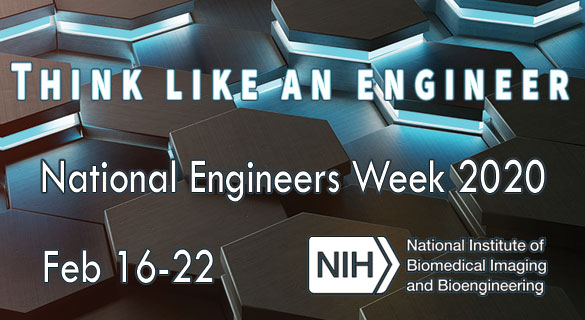 National Institute Of Biomedical Imaging And Bioengineering