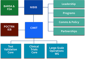 RADx Tech organization chart