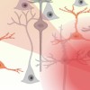 illustration of focused ultrasound targeting specific neurons in the brain