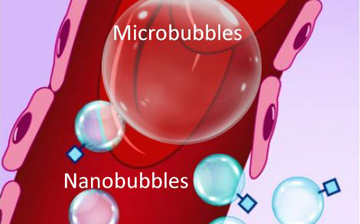 A schematic of microbubbles and nanobubbles in vessels