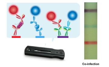 An image of the black device with a graphic of red and blue dots attached to red and blue lines. Next to that is a photo of the test strip with purple, blue, and red lines indicating a co-infection.