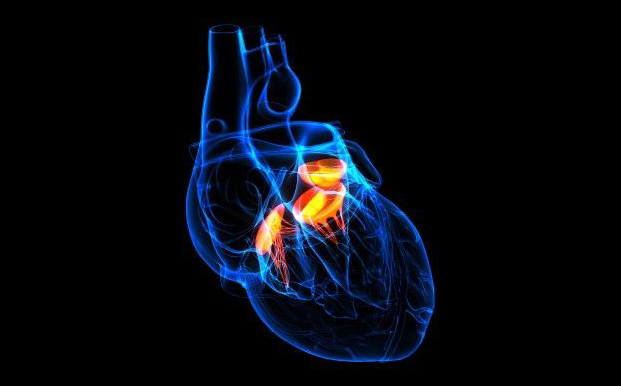 This is an image of a translucent heart