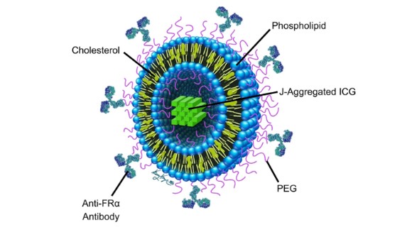 A diagram of the nanoparticle with layers of blue spheres and yellow and purple lines representing different parts of the particle and a grid of green squares at the center representing the ICG