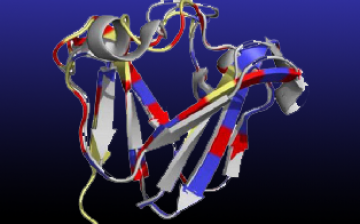 Laboratory of Dynamics of Macromolecular Assembly