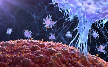 Section on Immunoengineering