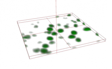 A computer generated graph with a vertical axis and green circles on the plane
