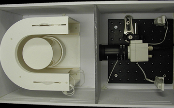 A white u-shaped Drosophila flight detection system