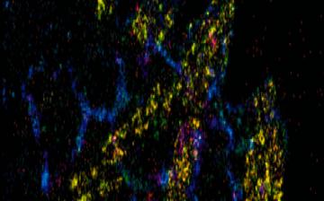 Section on Biophotonics