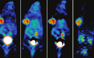 Molecular Tracer and Imaging Core Facility