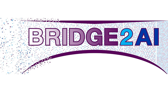 representation of an arch bridge constructed from a digital cloud emanating from the left with the words BRIDGE2AI 