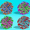 Illustration of SARS-CoV-2 viral particles in different colors on a blue background