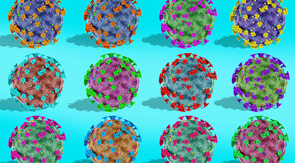 Illustration of SARS-CoV-2 viral particles in different colors on a blue background