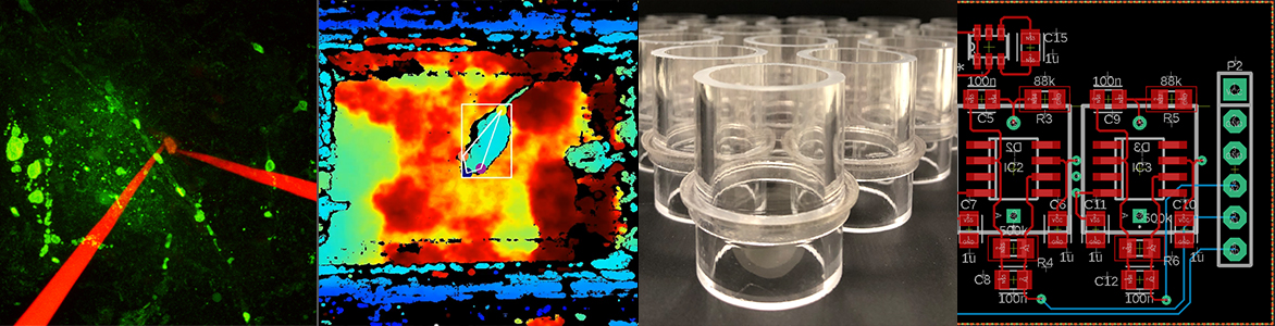 Four images, the first is an image of red laser tweezers on a green background, the second is an infrared image of a mouse, the third is an image of small glass vials in a pyramid shape, and the fourth is an image of a red and green circuit board.