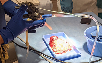 Image of a gloved hand pushing a syringe into a clear tube connect to tissue on blue tray