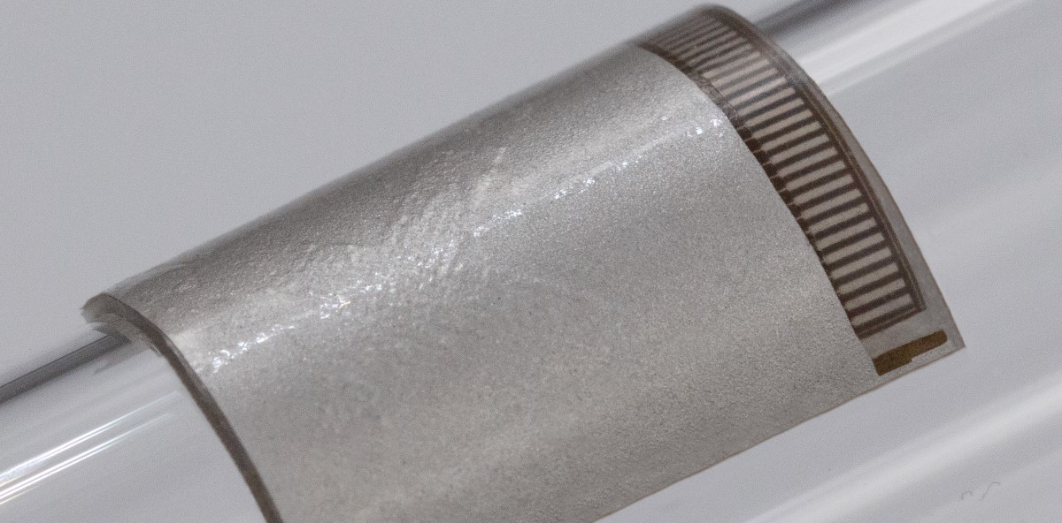 An elastic and portable patch for cardiac ultrasound An elastic and portable patch for cardiac ultrasound