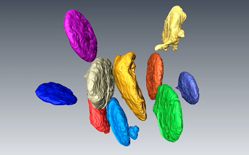3D computer generate image of different colored discs