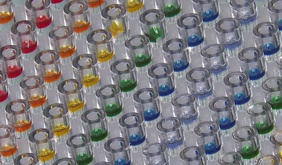 Unsealed microparticles filled with colored buffer