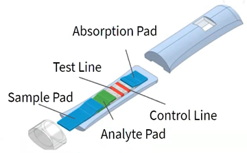 An exploded schematic of the DioTex prototype, with labels for its sample pad, analyte pad, control line, test line, and absorption pad