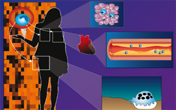 A graphic depicting the silhouette of a person in front of genomics data, with three zoomed insets showing a cluster of cells, an artery and a single cell.