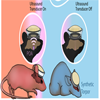 A graphic shows a mouse before and after an ultrasound device fixed to its head is activated. The mouse is standing prior to activation and is laying down after.