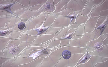 An illustration of different cells connected by strings