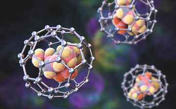 An illustration of colored molecules surrounded by circular molecules