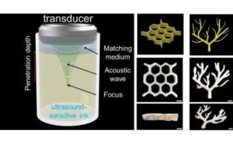 On the left: An illustration of an ultrasound transducer positioned above a chamber of ultrasound-sensitive ink, casting ultrasound waves deep into the chamber. On the right: Computer models and 3D-printed structures including a honeycomb and a vascular network.