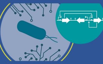 Schematic of bacterial DNA sensor