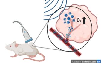 Drawing of a mouse receiving an ultrasound which increases the oxygen level in the tumor