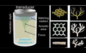 On the left: An illustration of an ultrasound transducer positioned above a chamber of ultrasound-sensitive ink, casting ultrasound waves deep into the chamber. On the right: Computer models and 3D-printed structures including a honeycomb and a vascular network.