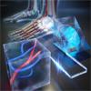 A digital rendition of the PACTER system imaging blood flowing in a human foot