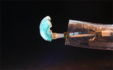 A prototype robotic catheter