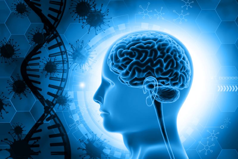 How ultrasound and microbubbles could deliver immunotherapy to the brain How ultrasound and microbubbles could deliver immunotherapy to the brain