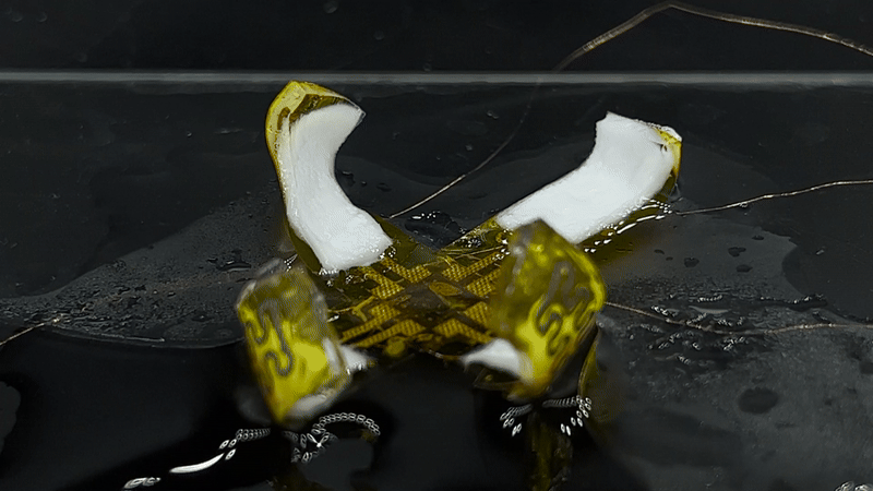 Taking a cue from nature, soft medical robots become smart Taking a cue from nature, soft medical robots become smart