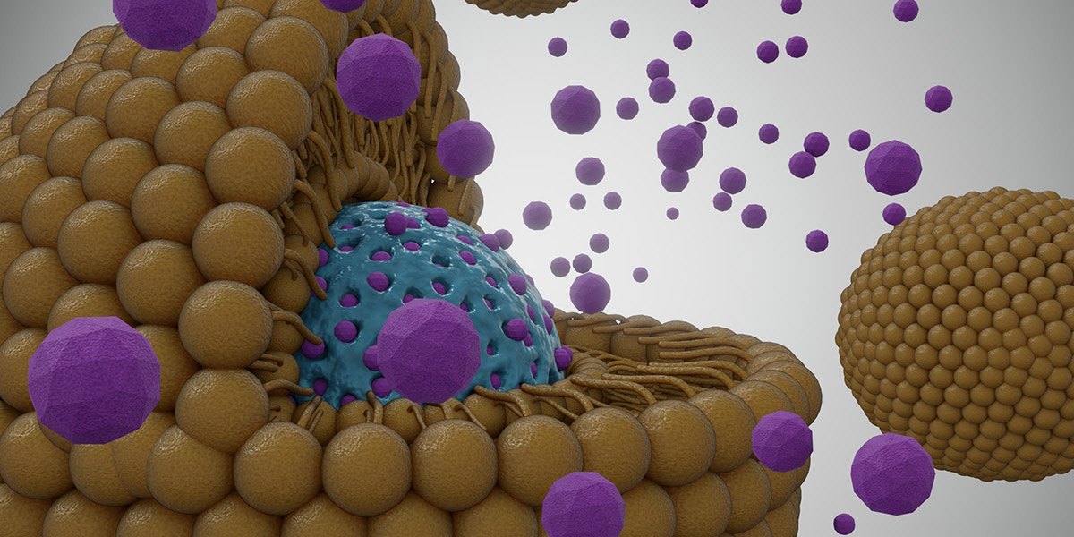 Construction of a Multi-Layer Ultrasound Activated Drug Delivery System Construction of a Multi-Layer Ultrasound Activated Drug Delivery System