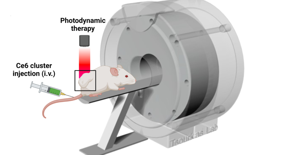 Researchers delve deeper into cancer with magnetic nanoparticles Researchers delve deeper into cancer with magnetic nanoparticles