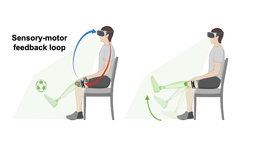 Diagram of the SimuStride device