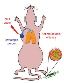 Therm-chemotherapy for breast cancer