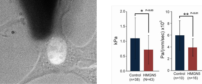 Microscopic image of a cell and a figure with results next to it