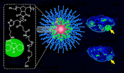 figure representing insertion of organic radical nitroxide into brush arm star polymer