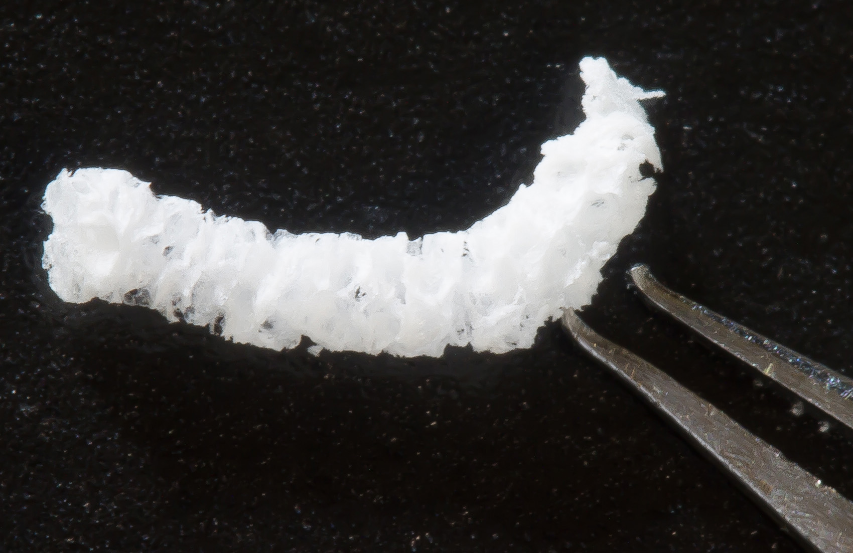 This is an image of the adenosine releasing silk implant used in this study. Image is courtesy of Dr. Boison, from Legacy Research Institute and OHSU.