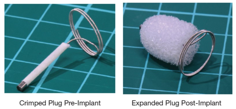 compressed and expanded shape memory polymer foam