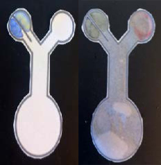 An image of two Diaper Detective testing samples. One with blue and yellow and one with yellow and red.